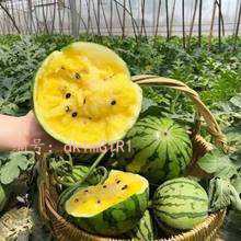 ĭ