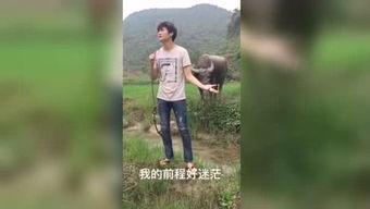 午夜福利视频国产,揭秘国产影视作品的魅力与影响力