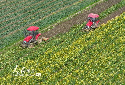 1024国产区,探索国产科技的魅力与未来