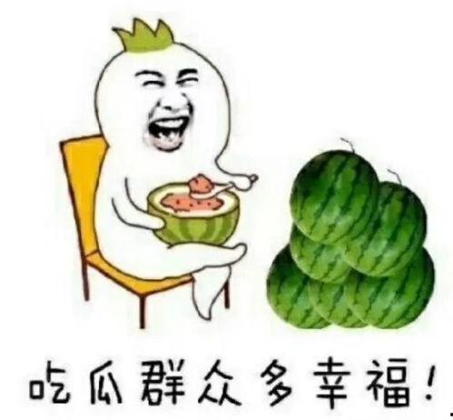 娱乐吃瓜2015年,吃瓜群众的热议焦点